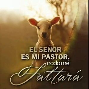 Meet your Posher, Miguel